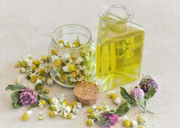 Nourish Your Mind, Body, and Soul: A Holistic Wellness Journey