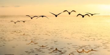 Unbreakable: Building Resilience in the Face of Adversity