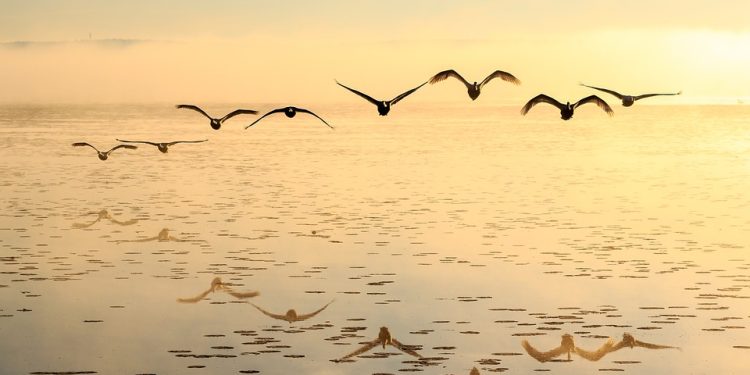 Unbreakable: Building Resilience in the Face of Adversity